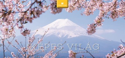 Naptár, asztali, álló, DAYLINER "Képes világ"